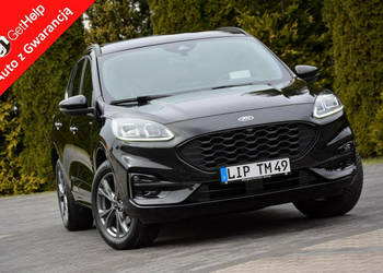Ford Kuga FV23% ST-line X Full Led Bang&Oluf Skóry RadarACC Navi Kamera He…