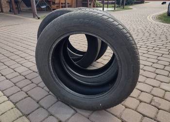 Opony letnie  Semperit 205/55/16 stan bdb cena za 2 sztuki