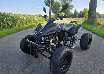 Quad Egl Jinling 250cc Ciecz 4+1 duża rama kat b zarejestrowany!