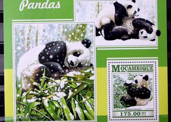 Mozambik ( panda ) 1