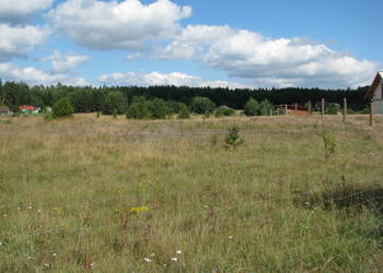 Atrakcyjna działka w sercu Puszczy Augustowskiej - jeziora, las, cisza