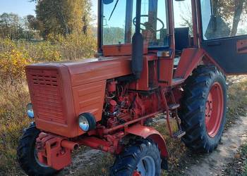 Wladimirec T25