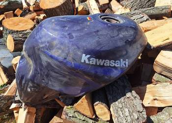 bak zzr 1100