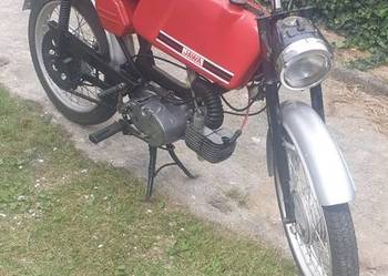 Jawa Mustang