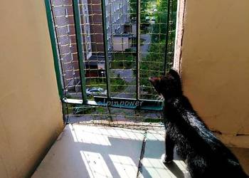 Wzmocniona Siatka Dla Kota Z Drucikiem Na Balkon Montaż Warszawa