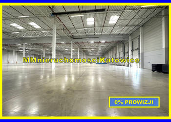 Centrum dystrybucyjne - różne powierzchnie do wynajęcia na Śląsku - 0% PRO…