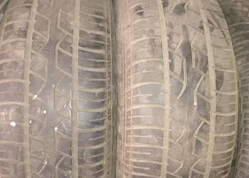 Opony lato Dunlop 15