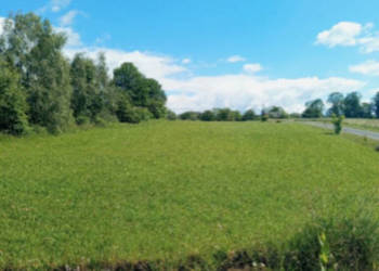 Działka budowlano-rolna z lasem - 2.61h w Łużnej