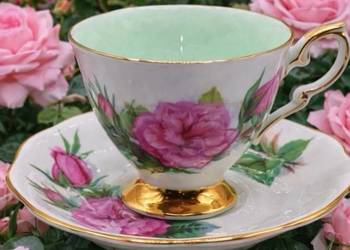 Piękne rzadkie zabytkowe róże Royal Standard China Wheatcroft Zestaw  Duo "