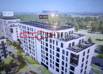 okolice ul. Białodrzewnej