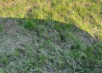 Działka budowlana nad morzem Rusinowo