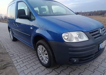 1.6 B 7 Osobowy Bezwypadkowy Super Stan