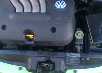 VW Beetle