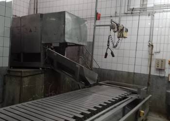 LINIA UBOJU TRZODY CHLEWNEJ