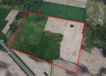 11 ha w jednym kawałku | foremna działka | 8 km od Lipna