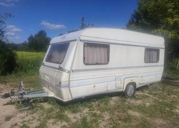 Przyczepa Camping Wilk 450