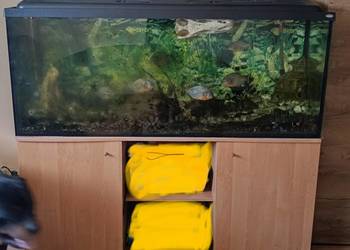Akwarium 450l z osprzętem + szafka