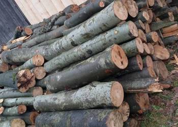 Drewno kominkowe opałowe buk pocięte i porąbane możliwy transport