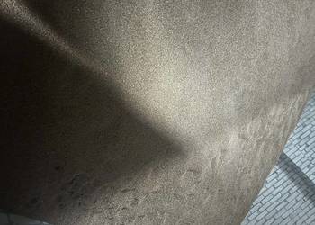 Przenica jara Anakonda