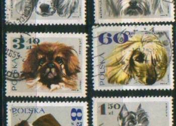 Zn. Fi 1751, 3 - 6, 8 kas 1969