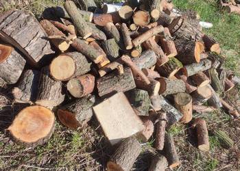 Drewno na opał