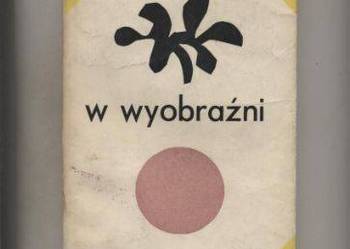 W wyobrażni - Wacław Kubacki