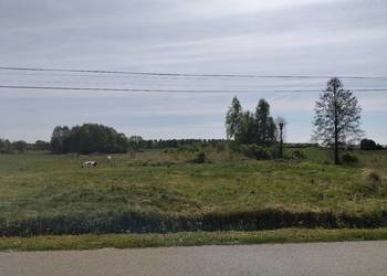 Działka budowlana, wydane warunki zabudowy  - 5 km od centrum Radomska