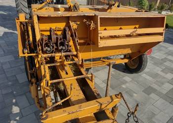 Prasa rivierre casalis Prasa rivierre casalis