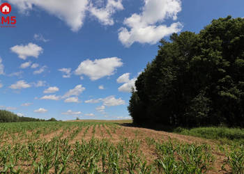 Działka 1100m2 Rożyńsk Wielki