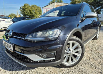 Volkswagen Golf Alltrack Jak nowy* Ksenon VII (2012-2020)