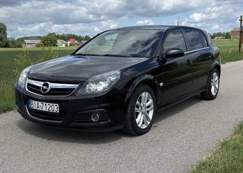 Opel Signum 1.9 CDTI 150 KM | Skóra | Xenon | Navi | PDC Przód/Tył