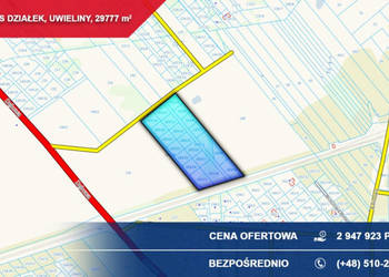 Kompleks 21 działek budowlanych 3ha Uwieliny (gm. Prażmów) z MPZP! Pod osi…