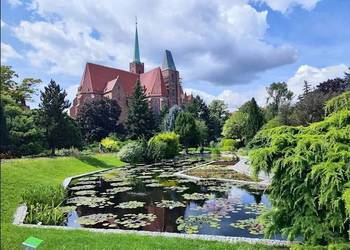 2pok, 35met, okolice Piaskowej ROZKŁAD/PIWNICA (Wrocław)