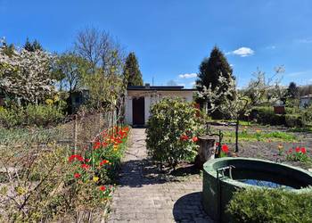 Działka ROD Chorzów Niedżwiedziniec