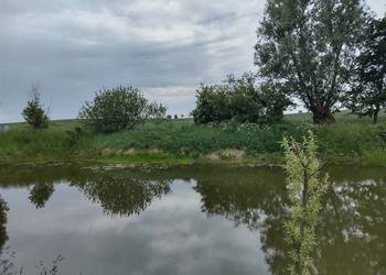 Sprzedam dom , działkę. Sokoligora