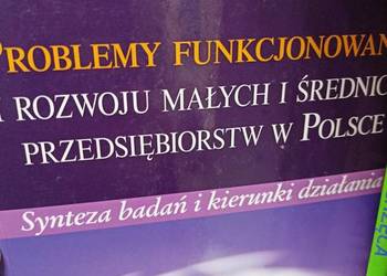 Problemy funkcjonowania podręczniki szkolne księgarnia Praga