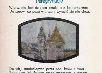 Peregrynacje - S. Baliński.