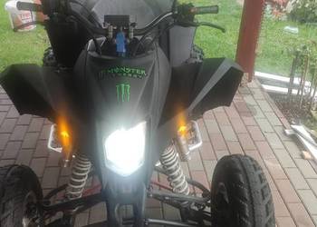 Egl Mad Max 250 Quad Atv