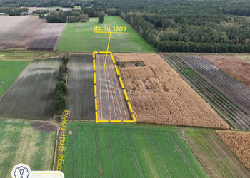 Działka rolna 7300m², przy rzece - Kolembrody