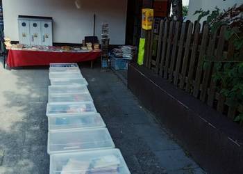 Ekonomia społeczna podmioty i instrumenty kolekcjonerskie