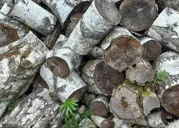 Drewno kominkowe opałowe kominka brzoza 1kg 4L kawałki wysyłka suche