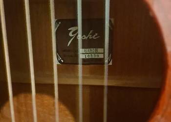 Gitara goshe japońska