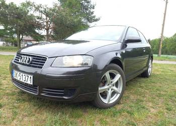 Audi a3 8p 1.6 mpi