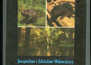 Tropem bobra - Wdowińscy Tropem bobra - Wdowińscy