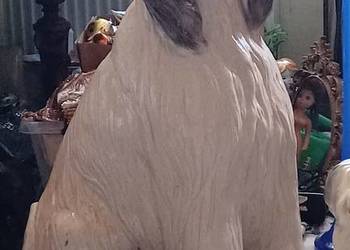 W POZNANIU SPRZEDAMY POWOJENNĄ SYGNOWANĄ FIGURE 24 KILO 83 WYS CHART AFGAŃS