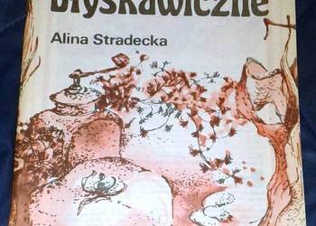 Obiady błyskawiczne - Alina Stradecka