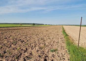 Wydzierżawię pole ziemię rolną  6 ha