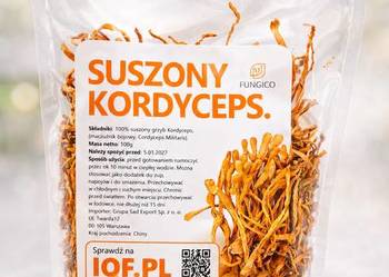 Kordyceps suszony Cordyceps 100g Maczużnik bojowy grzyby suszone grzyb