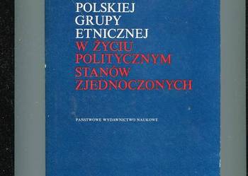 Reprezentacja polskiej grupy etnicznej w życiu politycz