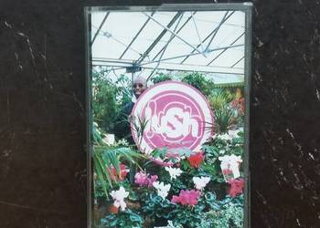 Kaseta magnetofonowa Lush- Lovelife